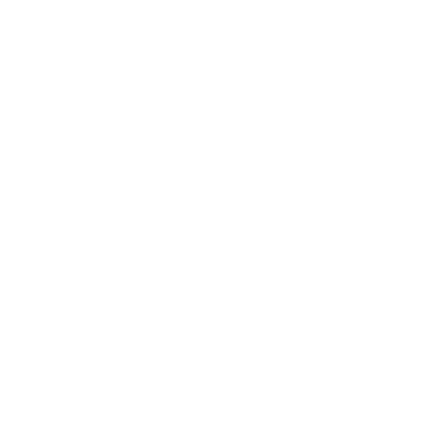 logo light